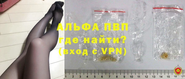 прущие грибы Бугульма