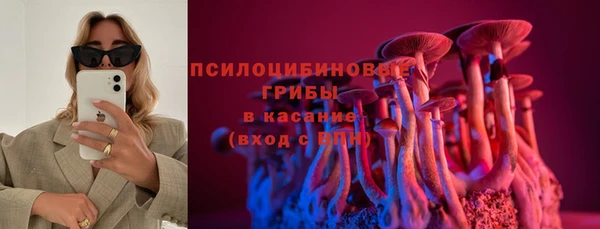 крисы Богородск