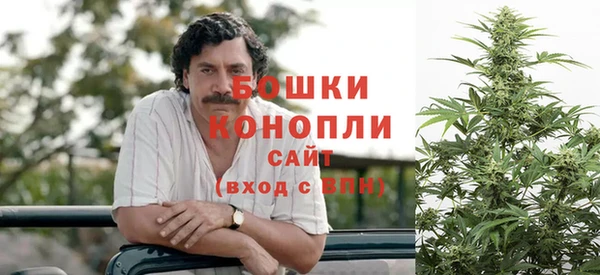 прущие грибы Бугульма