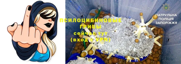 гидра Бронницы