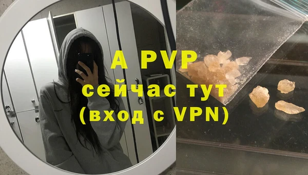 мяу мяу мука Богданович